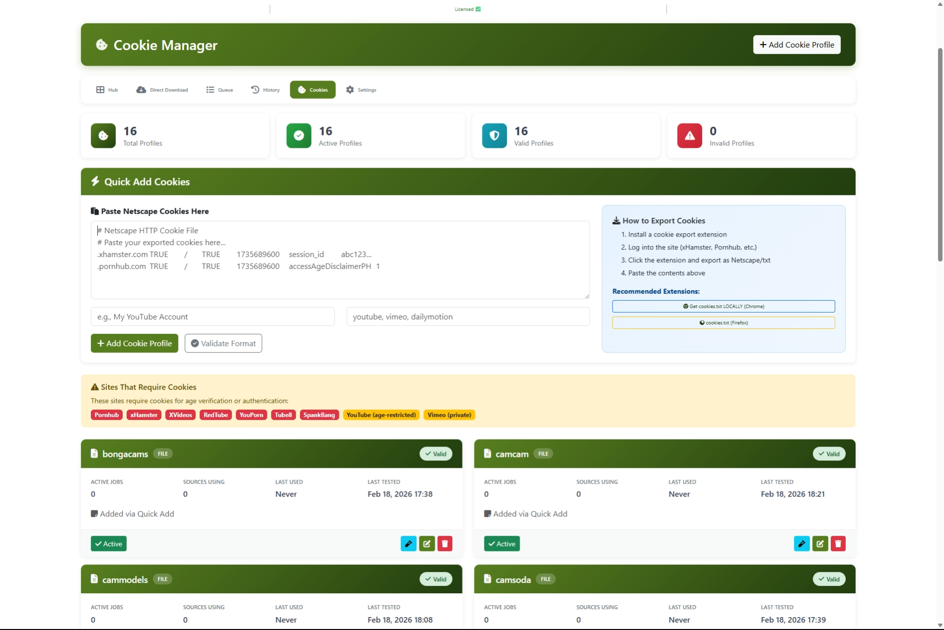 YT DLP Video Recorder